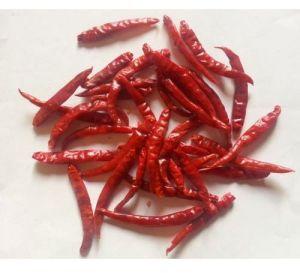 S-273 Dried Red Chilli