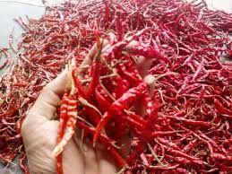 Teja Dried Red Chilli