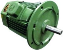 Electric Motors