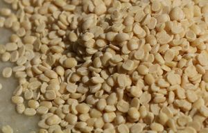 Gunwanti Washed Split Urad Dal