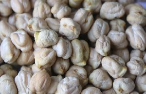 Gunwanti White Chickpeas