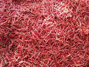 12 No Dried Red Chilli