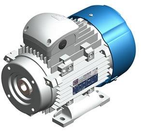 hollow shaft motor