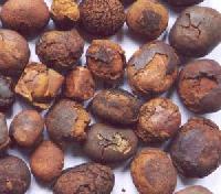 Ox Gallstones