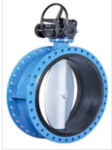 Double Flanged Butterfly Valve