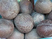 Coconut Ball Copra