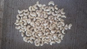 Cashew Kernel W450