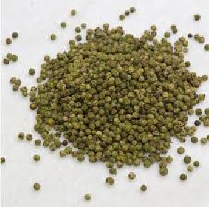 Green Pepper Seeds