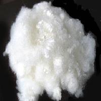 Indian Raw Cotton