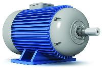 variable speed electric motor