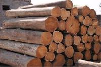 indian teak wood