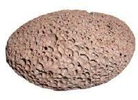 Pumice Stones