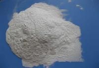 Refractory Coating