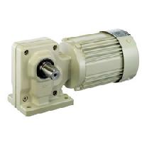 Worm Gear Motor