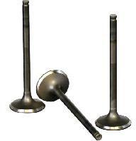 Exhaust Valves