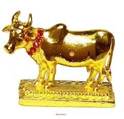 Beautiful - HOLY KRISHNA COW