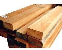 Babool Wood