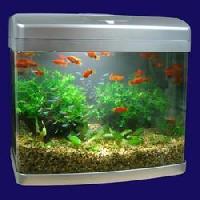 aquarium tank