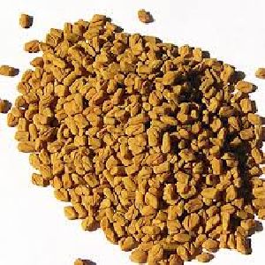 Fenugreek Oleoresin