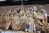 Dried Salted Fish