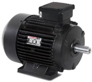 0.09Kw - 90Kw Havells Low Tension Motor