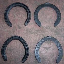 horse shoe