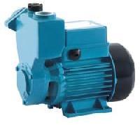 Domestic Water Pumps