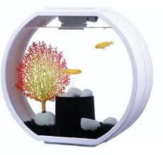 Mini Aquarium