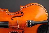 violin fingerboards