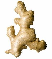 Fresh Ginger