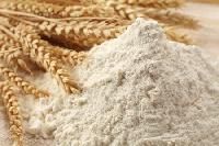 Organic Wheat Flour