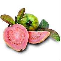 Pink Guava Pulp