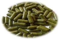 moringa ayurvedic tablets