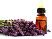 Bulgarian Lavender Oil