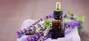 Clary Sage Oil