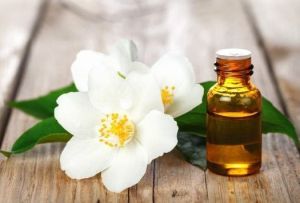 Jasmine Oil