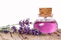 kashmir lavender oil