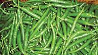 Green Chilli