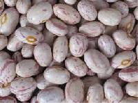 Light Speckled Kidney Beans