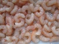 pud shrimp