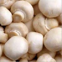 mushroom product