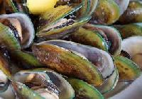 green mussels