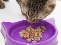 cat food