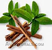 Cinnamon Oil