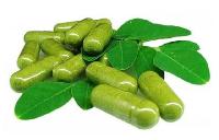 Moringa Leaf Capsules