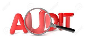 Auditing Services