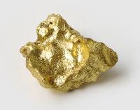 Gold Nugget