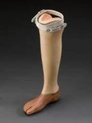 Artificial Limbs