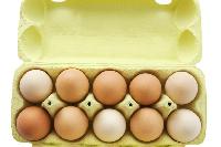 egg boxes