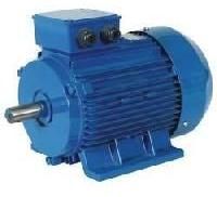 lt induction motor